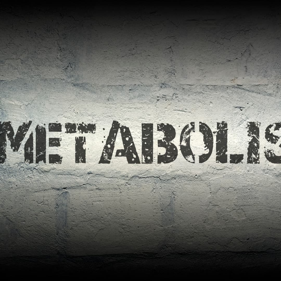 METABOLISM