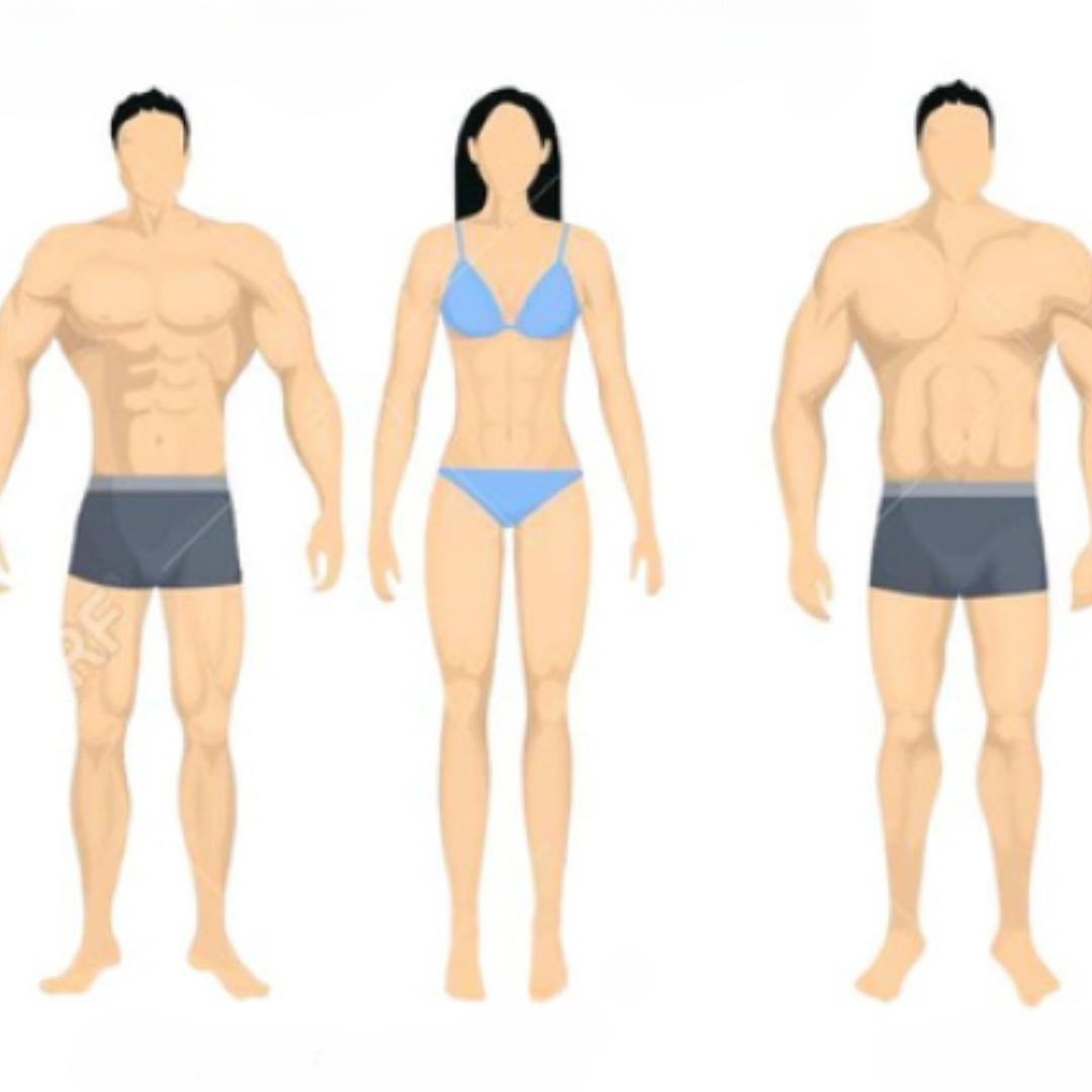 BODY COMPOSITION